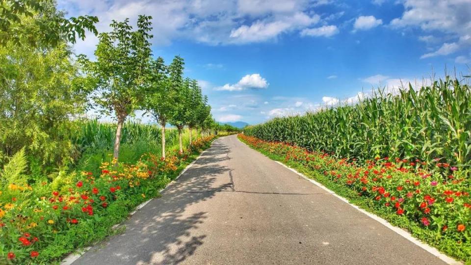 现场烹饪铁, 还提供当地