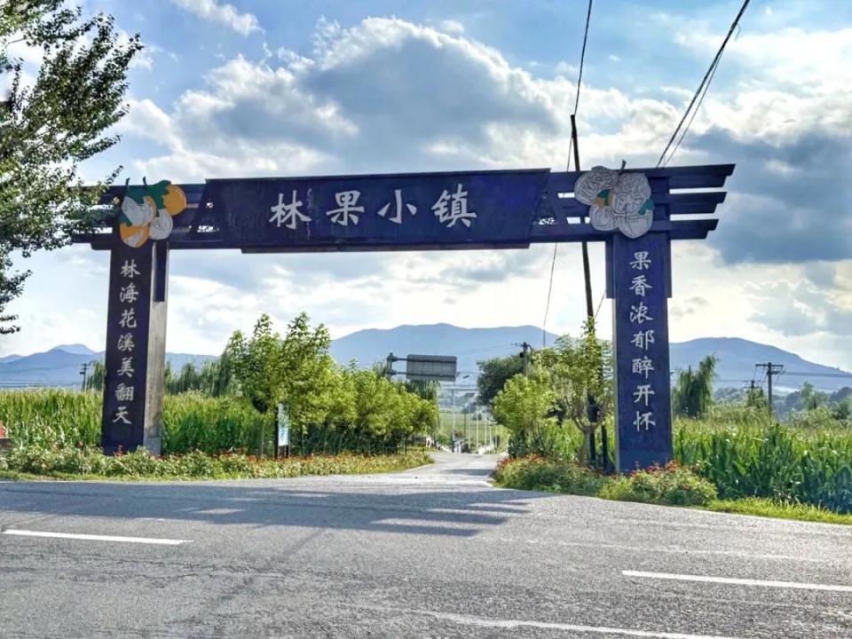 大葱, DW, img