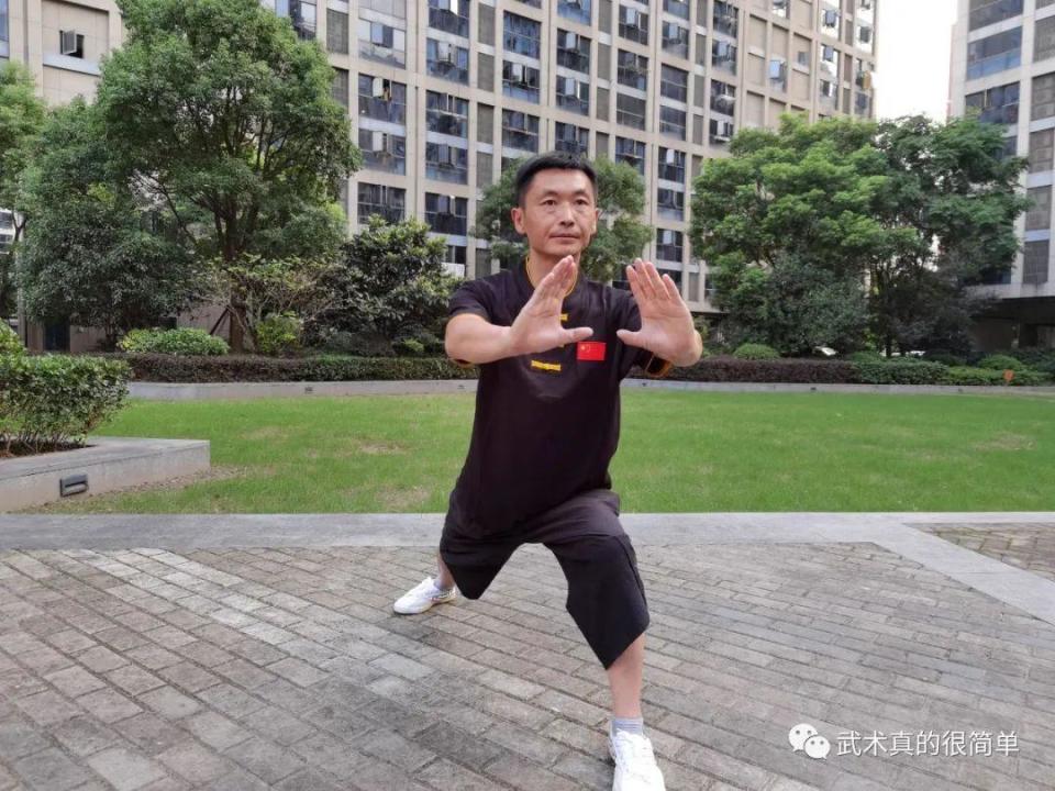 腕关节, 从上到下, img